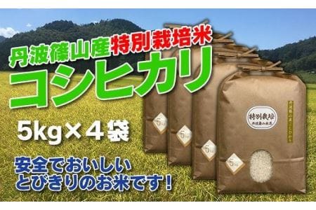 お米のおいしさ伝えたい！特別栽培米コシヒカリ5kg×4 AD16