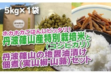 丹波篠山の地醤油漬、佃煮セット　特別栽培米5kgと実山椒・山蕗 AD27
