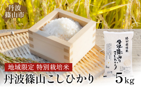 ※令和6年 新米予約※丹波たぶち農場の特別栽培米こしひかり5㎏ AQ24-24