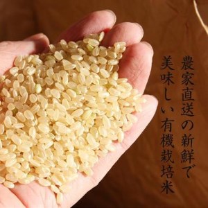 【先行予約】※令和6年産新米※【有機栽培米】丹波篠山産コシヒカリ　玄米　5kg BA20