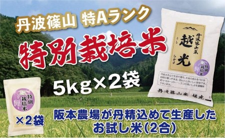 丹波篠山産　特Aランク　特別栽培米　越光（５ｋｇ×２袋） Y064
