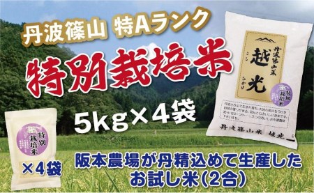 丹波篠山産　特Aランク　特別栽培米　越光（５ｋｇ×４袋） Y065