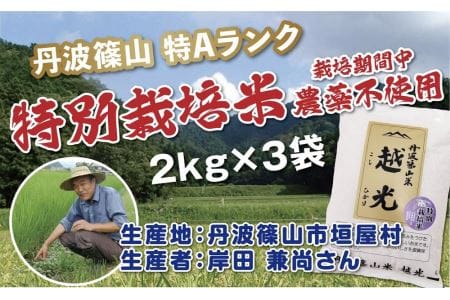 丹波篠山産　特別栽培米　越光（農薬不使用）（2ｋｇ×3袋） Y076