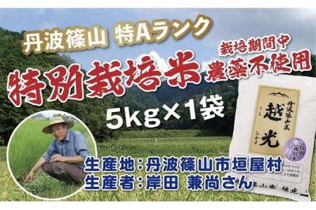 丹波篠山産　特別栽培米　越光（農薬不使用）（5ｋｇ×1袋） Y077