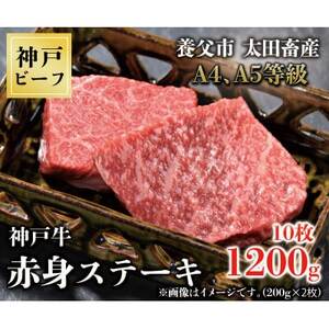 神戸牛　赤身ステーキ　10枚合計1200g【配送不可地域：離島】【1441302】