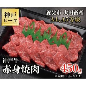 神戸牛　赤身焼肉　450g【配送不可地域：離島】【1441693】