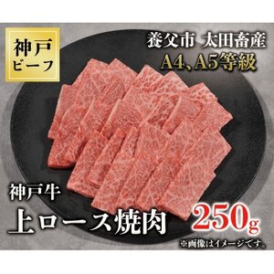 神戸牛　上ロース焼肉　250g【配送不可地域：離島】【1441999】