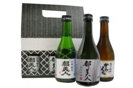 都美人酒造のかわいい蔵のボックス入り日本酒『蔵形300ml　3本セット』