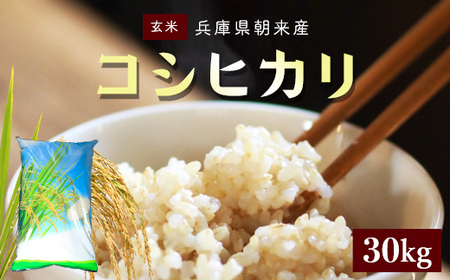 朝来産コシヒカリ米(30kg)《玄米》 AS4DE1