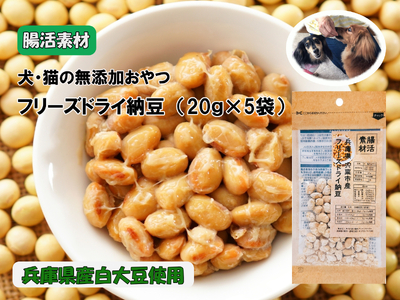 O22　腸活素材　犬・猫の無添加おやつ　フリーズドライ納豆