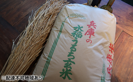 《令和5年産 特別栽培米》日本酒に合う ヒノヒカリ 玄米 30kg 精米歩合選択可[ 米 お米 ] 5分搗き米約27kg