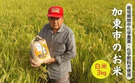 【令和5年産】栽培期間中化学農薬・化学肥料不使用 加東市のお米 白米 3kg