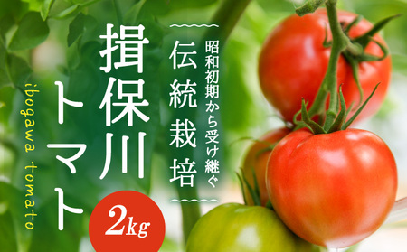 H-14　【昭和初期から受け継ぐ伝統栽培】酸味と甘みのバランスがよい「揖保川トマト」2kg
