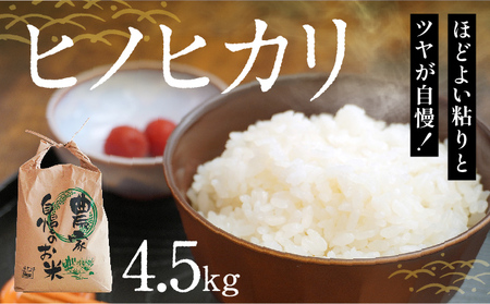 H-54【産地直送米】ほどよい粘りとツヤが自慢！「ヒノヒカリ白米(4.5kg)」