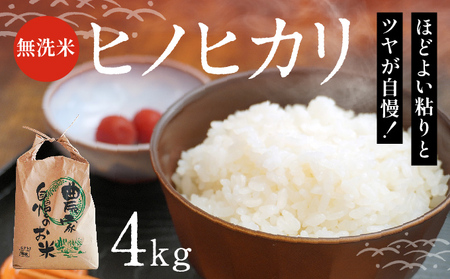 H-164【産地直送米】ほどよい粘りとツヤが自慢！「無洗米ヒノヒカリ白米(4kg)」