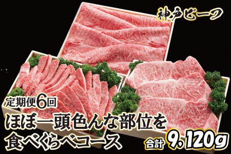 神戸ビーフ ほぼ一頭色んな部位を食べくらべコース（定期便６回）[620] 神戸牛