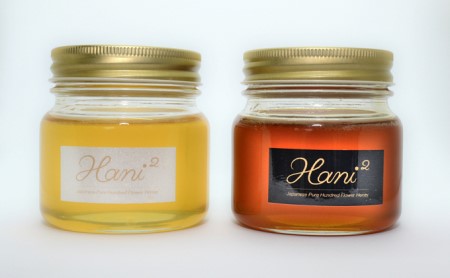 はちみつ Hani2の蜜源植物の栽培からこだわった 蜂蜜 2本入り ハチミツ 国産 セット ハニー