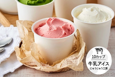 012AE01N.アイスクリーム詰め合わせ（10個）／アイス スイーツ デザート 牛乳アイス ミルク にゅうにゅう工房 冷凍 セット 冷菓