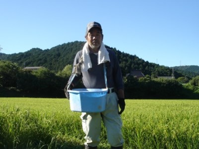 030IM032N.瀬加の美味しいお米（コシヒカリ）精米27kg