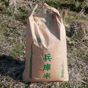 【令和5年産】特別栽培米〈ヒノヒカリ〉精米30kg【1034120】
