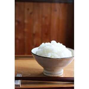 【令和5年産】お米食べ比べセット精米8kg(4kg×2)【1144783】