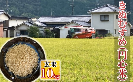 きぬむすめ（円心米）玄米10kg