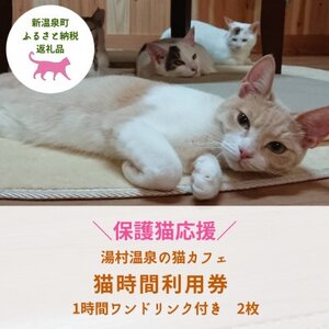 【保護猫応援】湯村温泉の猫カフェ　猫時間の1時間利用券(ワンドリンク付き)2枚【1422388】