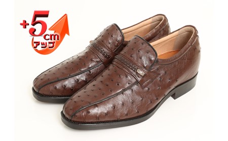 オーストリッチ革 ビジネスシューズ 紳士靴 スワローモカ 5cmアップ 4E ワイド No.67 ブラウン 24.0cm