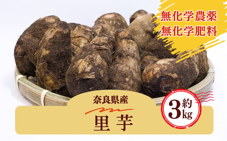 生命の農法（無化学農薬・無化学肥料栽培） 里芋 （約3kg）| 野菜 根菜 奈良県 五條市