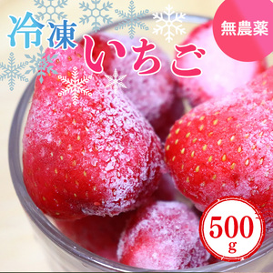 冷凍いちご 約500g (100gx5パック) 奈良県産のいちご