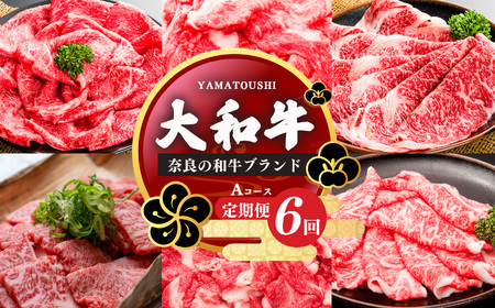 【定期便6回】大和牛 お肉の定期便 A