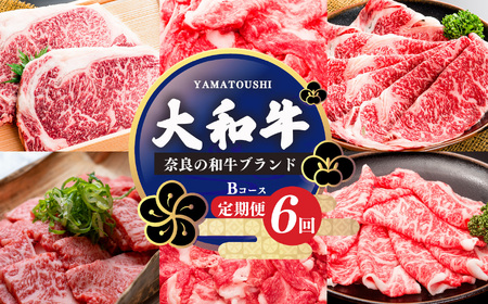 【定期便6回】大和牛 お肉の定期便 B