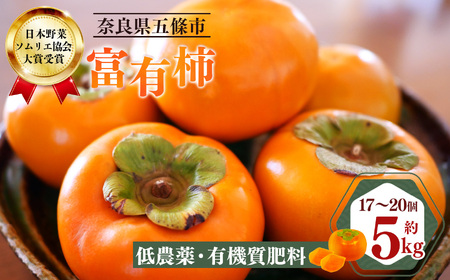 富有柿 約5kg（17～20個） 日本野菜ソムリエ協会大賞受賞品