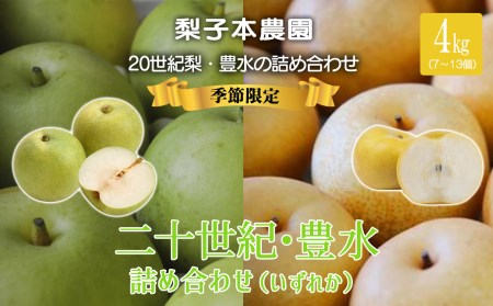 梨子本農園の梨（二十世紀、豊水、詰め合わせいずれか）4kg（7～13個入）