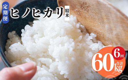 【 定期便 6回 】新米 奈良県産 ヒノヒカリ 精米 10kg （ 計60kg ） 米