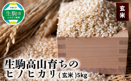 生駒高山育ちの　ヒノヒカリ玄米5kg(生産者　上武猛)　令和５年産新米