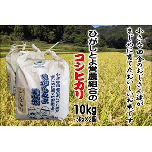 ５０個限定！小さな田舎のおじさんたちが真面目に作ったお米　ひがしとよ里山米１０kg