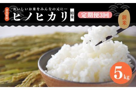 【 定期便 3回 】新米 奈良県産 ヒノヒカリ 精米 5kg （ 計15kg ） 米
