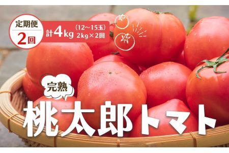 【定期便2回】桃太郎 トマト（12～15玉）約2kg×2回 （計4kg）