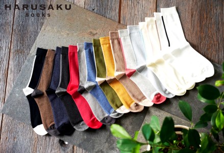 HARUSAKU バックラインソックス 5足セット （25cm～27cm）／靴下 くつ下 日本製 消臭ソックス おしゃれ シンプル ビジネス カジュアル / メンズ  紳士