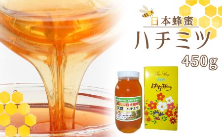 日本蜜蜂ハチミツ450g《吉野ハニー》