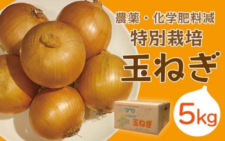 玉ねぎ　5kg　特別栽培/005-13301-b01B