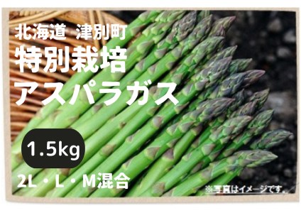 【R6年産】アスパラガス　1.5kg　特別栽培　細川農園/015-24083-b01C