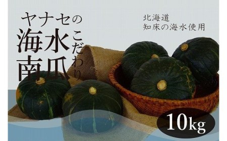 南瓜　10kg　知床海水ミネラル栽培　ヤナセ農園/012-27090-b01A