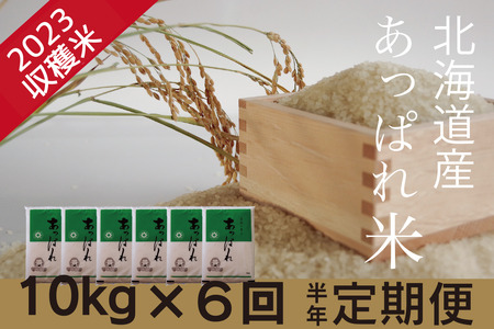 お米定期便　北海道産　あっぱれ米　10kg×6回　今井農場/080-03034-b06E