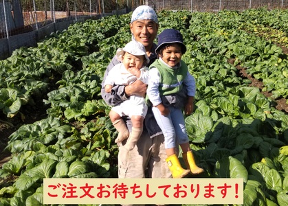 【自然栽培】大和の伝統野菜 下北春まな500g 草野自然農園 国産野菜