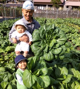 【自然栽培】大和の伝統野菜 下北春まな1kg
