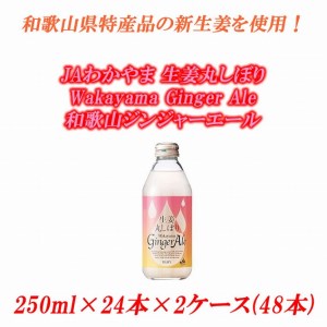 JAわかやま 生姜丸しぼり　Wakayama Ginger Ale　和歌山ジンジャーエール 250ml×24本×2ケース(48本入)