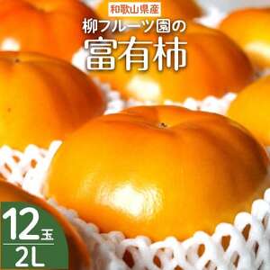 柳フルーツ園の富有柿【1362150】
