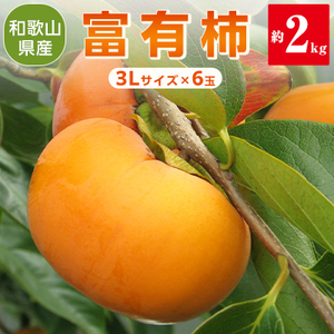 柿　富有柿(約2kg 3Lサイズ　6玉入) 高級柿　JA紀北かわかみ　